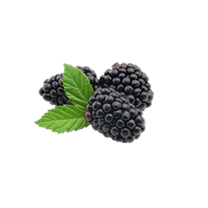 Blackberry PNG-26579